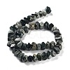 Natural Eagle Eye Stone Beads Strands G-D091-A03-3