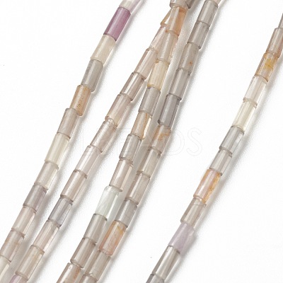 Natural Fluorite Beads Strands G-B004-A29-1