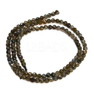 Natural Labradorite Beads Strands GG-CBA9722-A03-3mm-1
