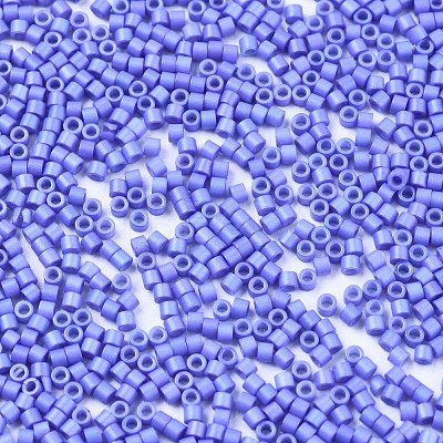 FGB 11/0 Grade A Glass Seed Beads SEED-S030-1010-1