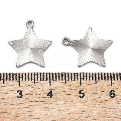 304 Stainless Steel Pendants STAS-C167-08G-P-1