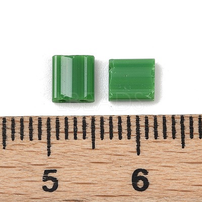 520Pcs 2 Style 2-Hole Glass Seed Beads SEED-NB0001-72B-1