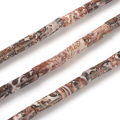 Natural Leopard Skin Jasper Beads Strands G-F247-27-1