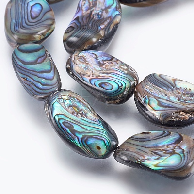 Natural Abalone Shell/Paua Shell Beads Strands SSHEL-P014-02-1