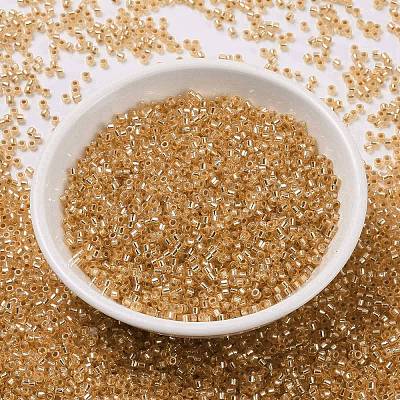 Cylinder Seed Beads SEED-H001-G04-1