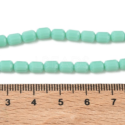 Opaque Glass Beads Strands GLAA-G112-04C-1