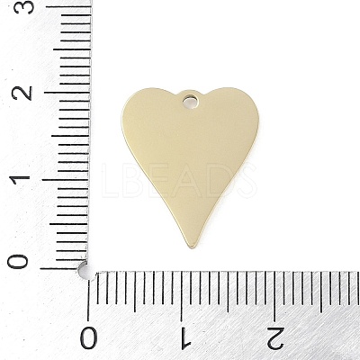 304 Stainless Steel Pendants STAS-L022-109G-01-1