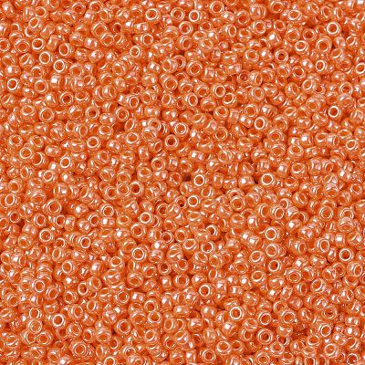 MIYUKI Round Rocailles Beads X-SEED-G007-RR0424-1