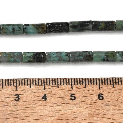 Natural African Turquoise(Jasper) Beads Strands G-B091-A25-01-1