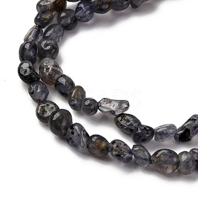 Natural Iolite/Cordierite/Dichroite Beads Strands G-I389-A34-01A-1
