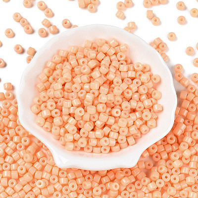 Opaque Baking Paint Glass Seed Beads SEED-T008-02D-1