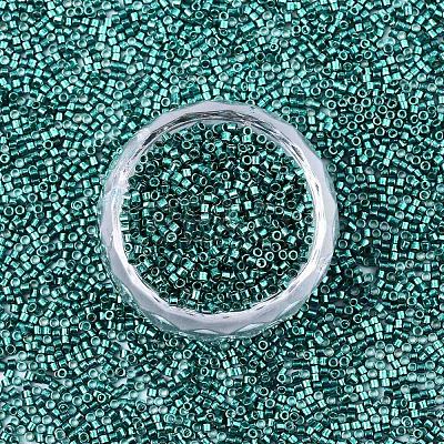 FGB 11/0 Grade A Glass Seed Beads X-SEED-S030-1216-1