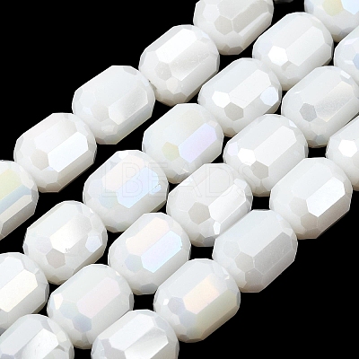 Electroplate Opaque Column Glass Beads Strands EGLA-A043-02-AB03-1
