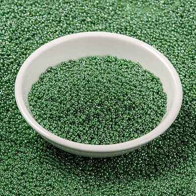 MIYUKI Round Rocailles Beads X-SEED-G009-RR0431-1