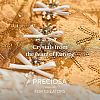 Preciosa&reg MAXIMA Crystal No Hotfix Flatback Stones Y-PRC-NSS16-30010-5