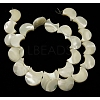 Natural White Shell Beads Strands X-SSHEL-G16B-2