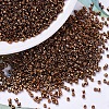 MIYUKI Delica Beads SEED-X0054-DB0461-1