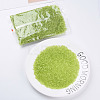 Transparent Glass Bugle Beads SEED-N005-001-C13-2