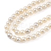 Electroplated Natural Freshwater Shell Beads Strands BSHE-G036-22-3