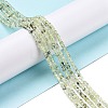 Natural Prehnite Beads Strands G-E194-06-2