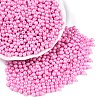 Glass Seed Beads SEED-T007-01F-3