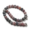 Natural Weathered Agate Beads Strands G-P538-A01-4