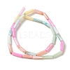 Rainbow Color Dyed Natural Freshwater Shell Beads Strands X1-SHEL-G018-02B-2
