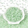 Baking Paint Transparent Glass Beads DGLA-T004-07G-1