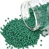 MIYUKI Round Rocailles Beads SEED-G007-RR4477-1
