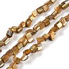 Dyed Natural Freshwater Shell Beads Strands SHEL-P016-01A-1