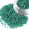 12/0 Grade A Round Glass Seed Beads X-SEED-N001-D-20/218-1