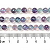 Natural Fluorite Beads Strands G-K345-A02-01-5