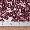 MIYUKI Delica Beads X-SEED-J020-DB1751-4