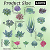 PVC Artificial Succulent Plant AJEW-SP0004-35C-2