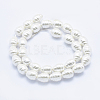 Electroplate Shell Pearl Beads Strands BSHE-G009-A-02-2