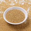 MIYUKI Round Rocailles Beads SEED-JP0008-RR0677-2