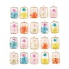 Brass Resin Pendants GL-CBA591C-04G-1