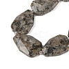 Natural Syenite Beads Strands G-P548-B26-01-3