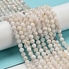 Natural Rainbow Moonstone Beads Strands G-A097-A02-06-2