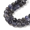 Natural Iolite Beads Strands G-J400-E05-02B-3