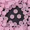Frosted Transparent Acrylic Beads OACR-P029-03B-05-1