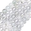 Natural Lepidolite Beads Strands G-G106-P01-03-1
