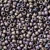 TOHO 8/0 Round Beads X-SEED-TR08-0615-2