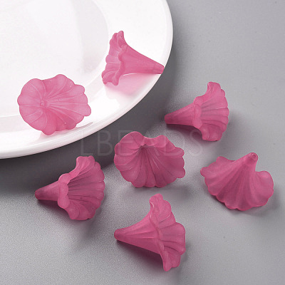 Transparent Acrylic Beads X-BSF796-C16-1