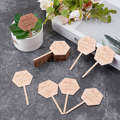 30Pcs Wooden Plant Labels DIY-GF0014-19B-1