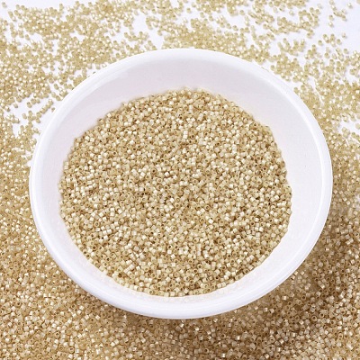 MIYUKI Delica Beads SEED-X0054-DB0621-1