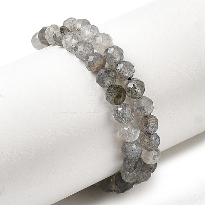 Natural Labradorite Beads Strands G-H336-A08-05-1