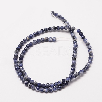 Natural Sodalite Round Bead Strands X-G-P072-27-8mm-1