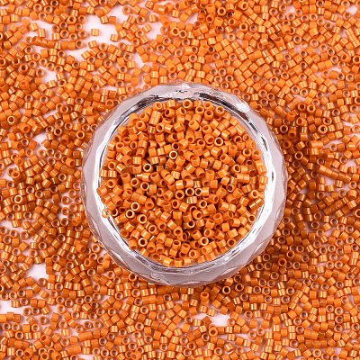 FGB 11/0 Grade A Baking Paint Glass Seed Beads X-SEED-S030-1028-1