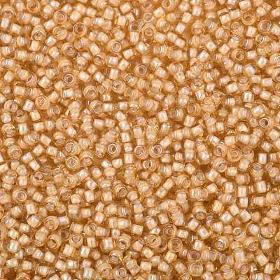 TOHO Round Seed Beads SEED-JPTR08-0391-1